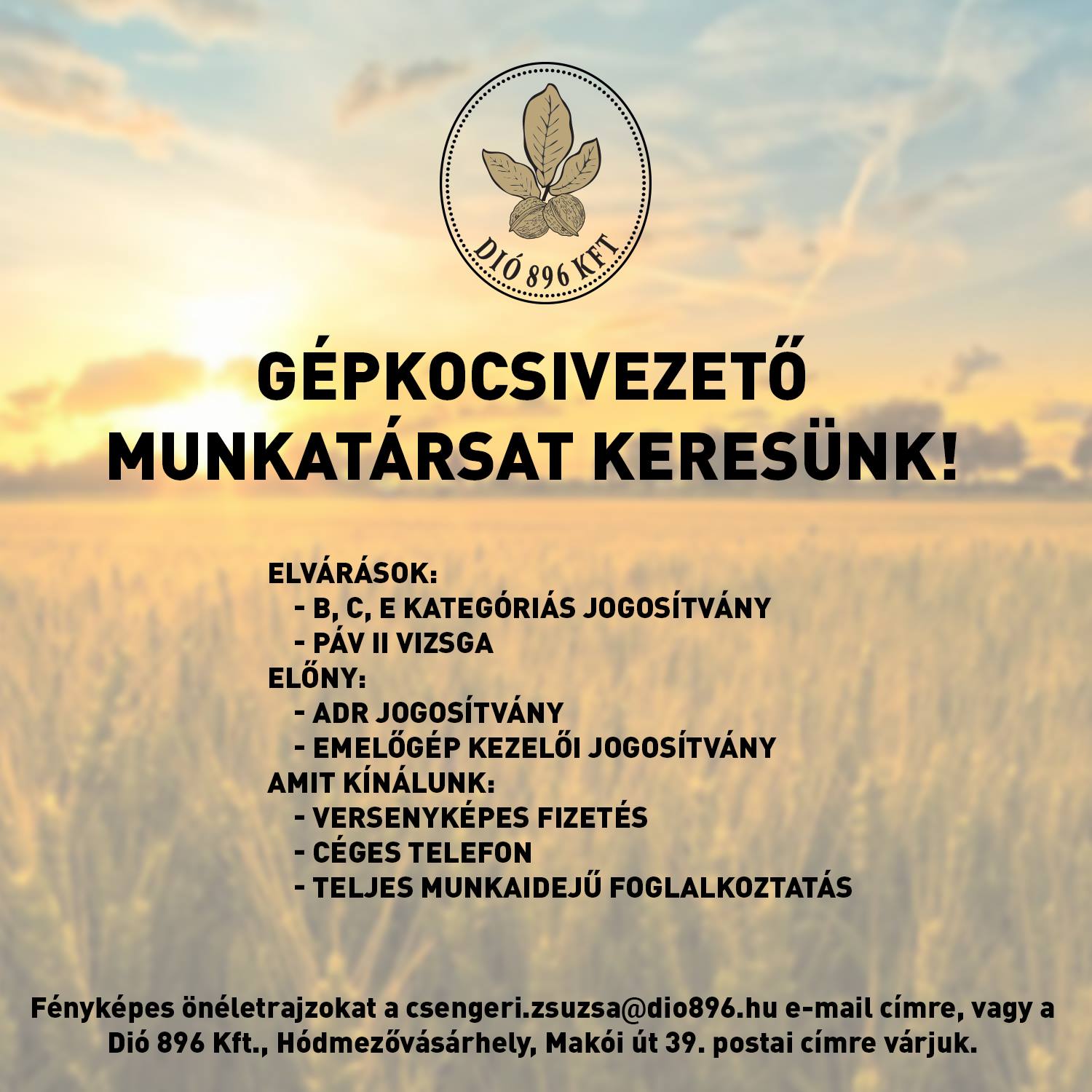 Munkatársat keresünk