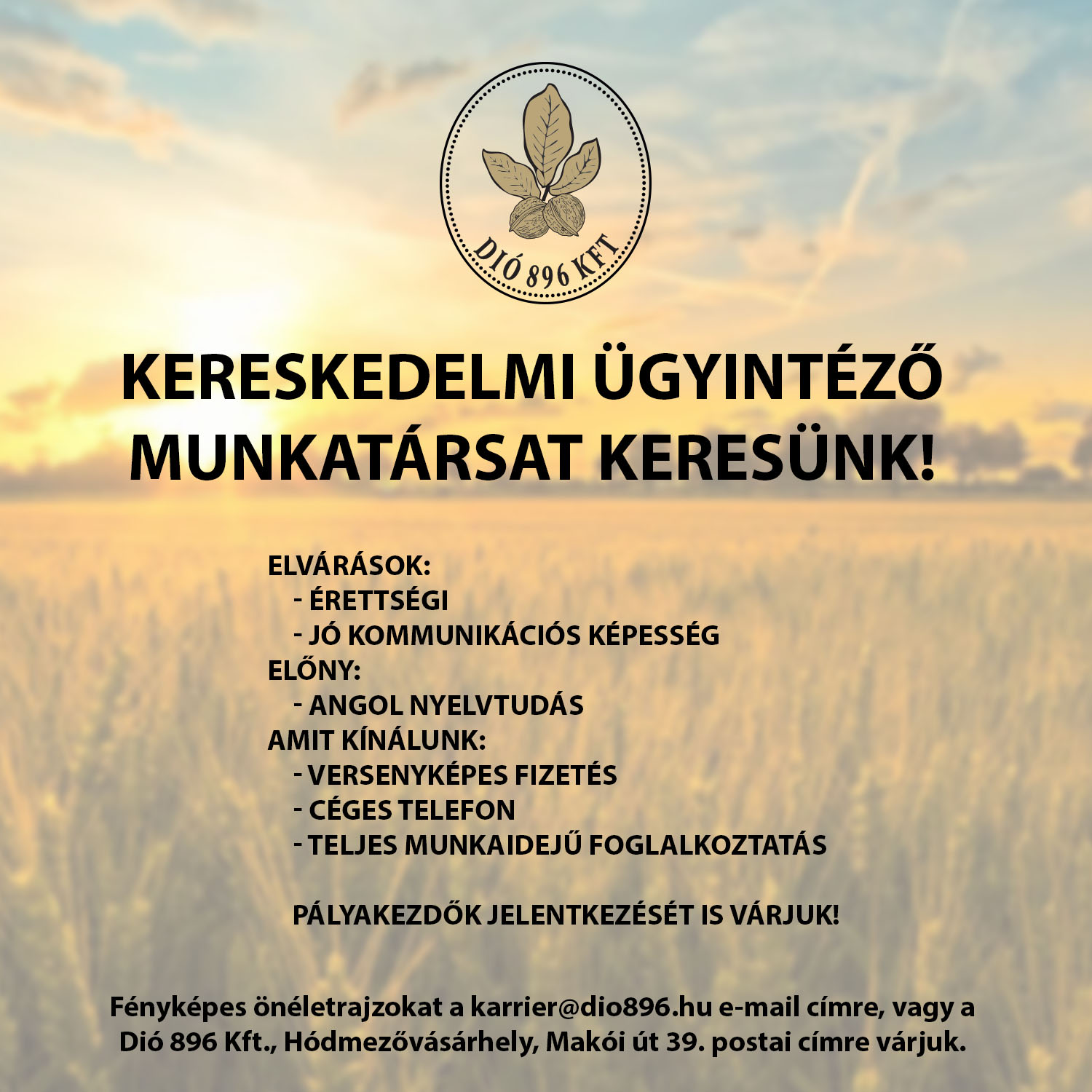 Munkatársunkat keressük!
