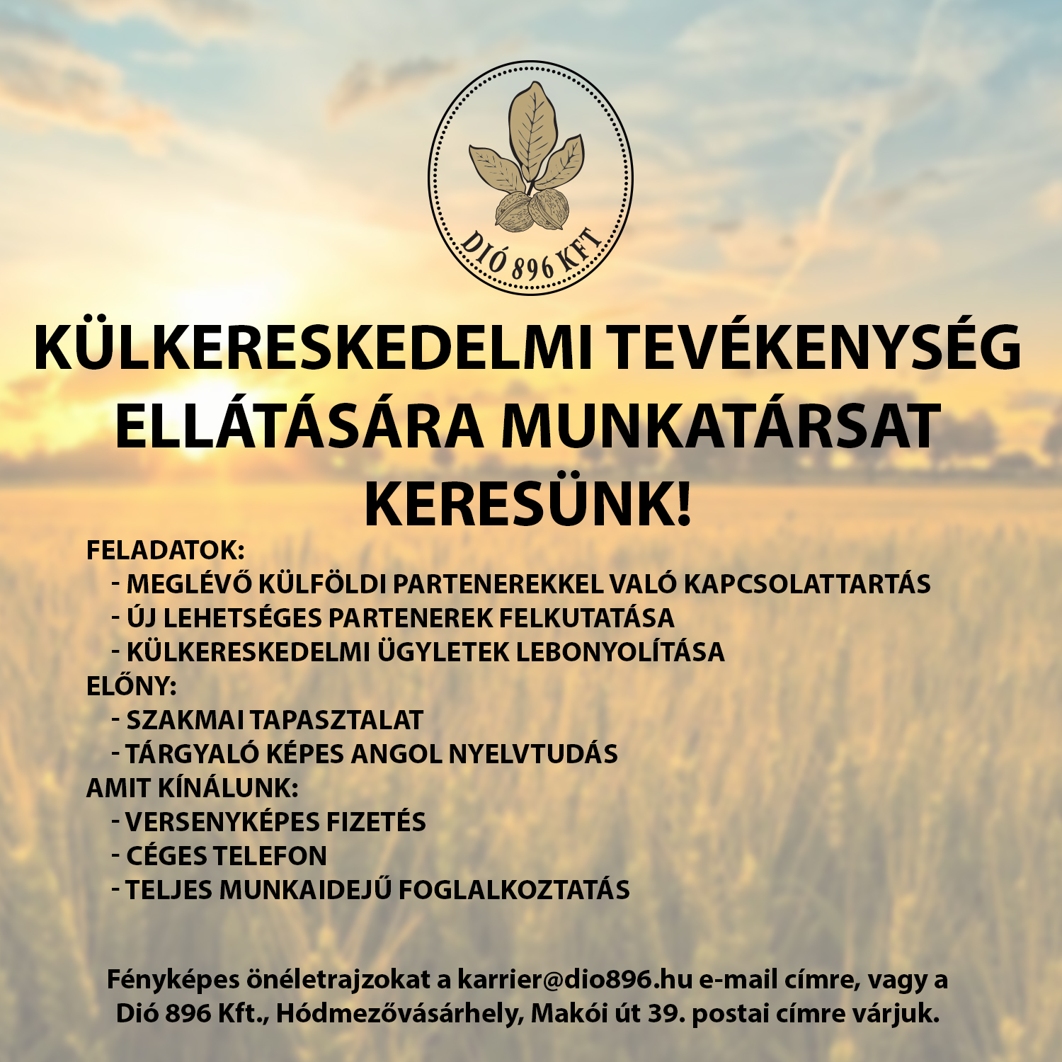 Munkatársat keresünk!