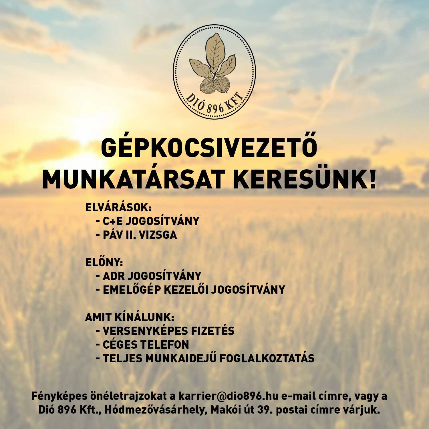 Munkatársunkat keressük!