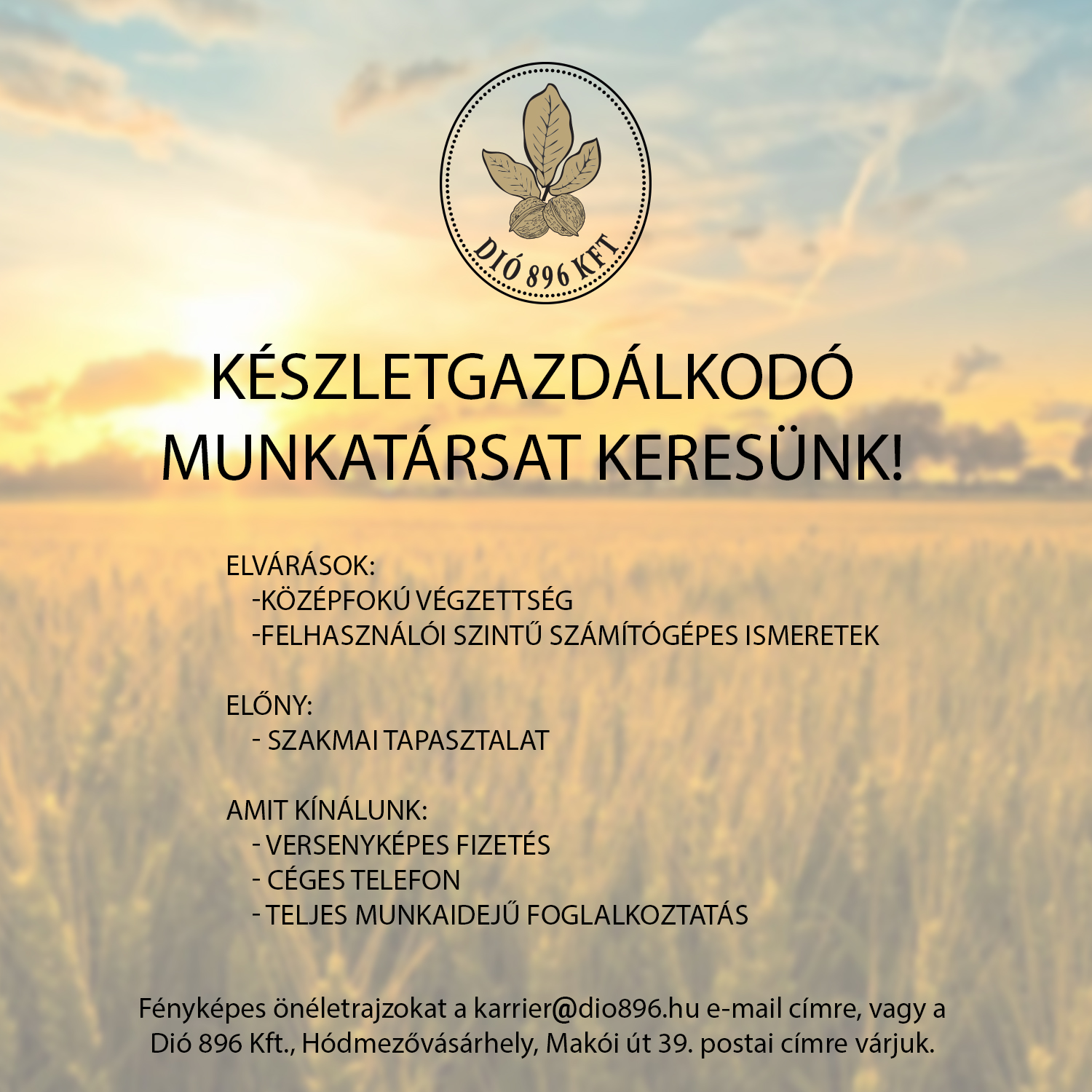Munkatársat keresünk!